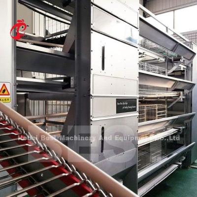 China Automatic Chicken Cage Automatic Feeding System Used In Poultry Chicken Farm Mia for sale