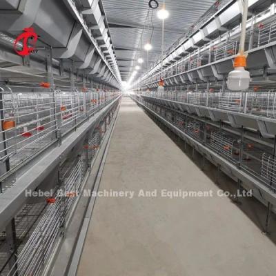 Китай Ручная чистка автоматическая клетка для цыплят клетка для цыплят типа H продается