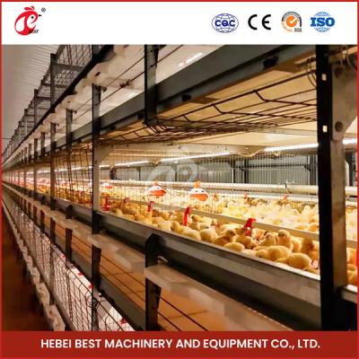 China 20,000 Birds Easy Operate Full Automatic Broiler Cage System For Chicken Farm Sandy for sale