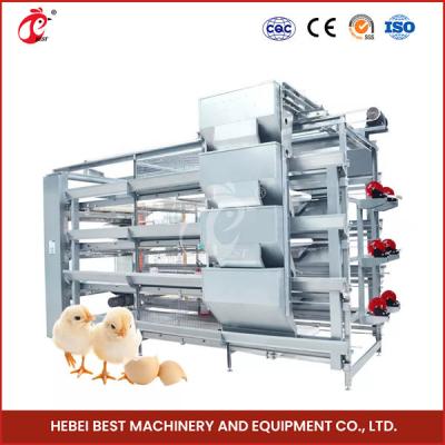 Chine Customization 120 Birds  Automatic Poultry Brooding Cage System For Pullet Chicks Sandy à vendre