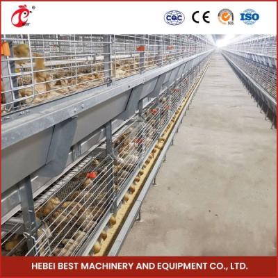 China Day Old Layer Chick Brooding Cage Equipment 208 Birds Higher Survival Rate Ada en venta