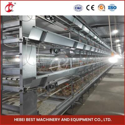 China High Density Poultry Farming Broiler Chicken Cage 112 Birds For Day Old Farm House Ada for sale