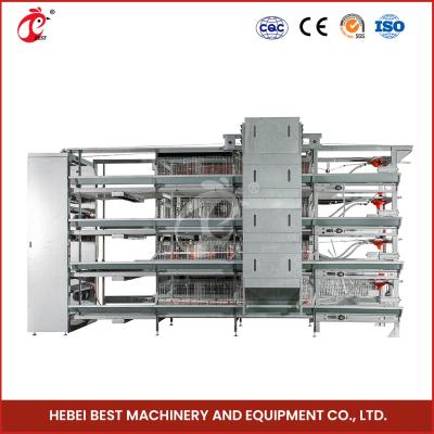 China ISO14001 Certified Automatic Broiler Chicken Cage System 25 Years Long Lifespan Star for sale