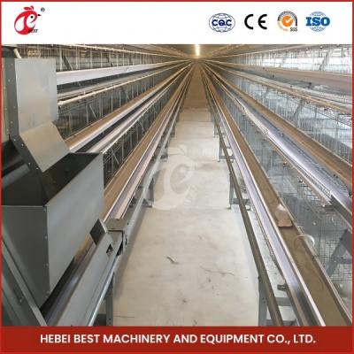 China Automatic 3tiers Baby Layer Chicken Brooding Cage Pullet Chicken Cages 144 birds Rose for sale