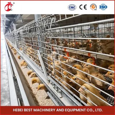 China 90-200 Chickens Capacity Automatic Chicken Cage System Rose Te koop