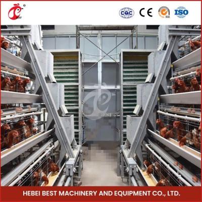 China Hot Galvanized 20 Years Lifespan Full Automatic Feeding Manure Cleaning And Egg Collection System Cage Sell Adela for sale