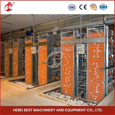 China H Type Layer And Broiler Automatic Battery Chicken Cage Equipment House Design Ada for sale