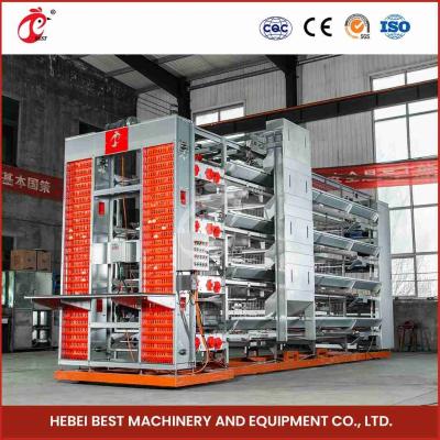 China Turnkey Project H Type Automated Layer Cages Equipment For 50000 Birds Farm Star for sale
