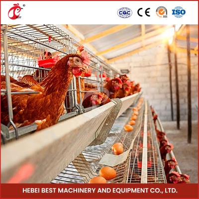 Cina Gabbia automatica di strato dell'uovo della batteria dell'attrezzatura della gabbia del pollo per le galline ovaiole in iride della Nigeria in vendita