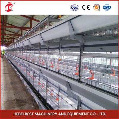 China Full Automatic System Pullet Cage With Hot Deep Galvanization H Type Shape Emily for sale