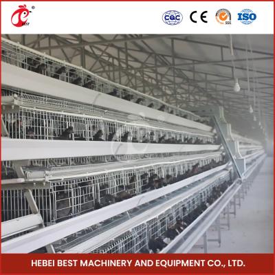 China Poultry Q235 Steel Wire Chicken Battery Cage With Automatic Drinker Accessories Sandy en venta