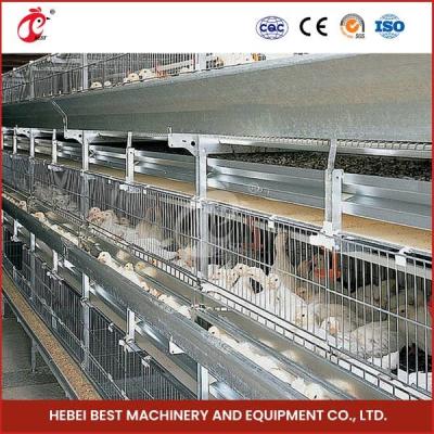 China Hot Dipped H 4 Tier Type 25 Years Lifespan Broiler Chicken Cage Doris for sale
