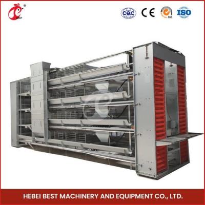 China Automatic H Type 4 Tier Layer Cage For 40,000 Chicken Farm Doris for sale