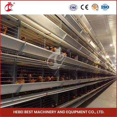 China Computer Controlled Raising Automatic Chicken Cage Equipment Star Te koop
