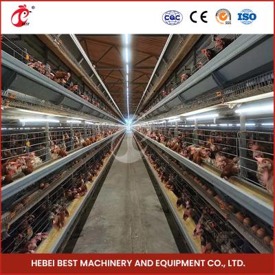 China 25 Years 90-200 Chickens Automatic Chicken Feeding System With Automatic Drinker Iris à venda