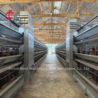 China Stacked Poultry 128 Birds Battery Type Breeding Cage Emily en venta