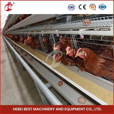 中国 120 Birds Layer Poultry Farm Cage Hot Deep Galvanized And Cold Galvanized Iris 販売のため