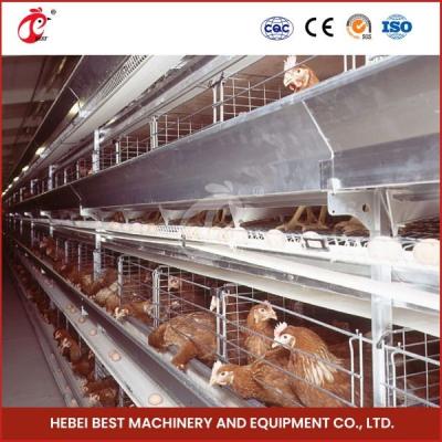 Chine Poultry Farming Customized Chicken Battery Cage 100kg Weight Mia à vendre