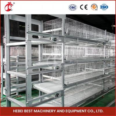 China Anti Corrosion Chicken Battery Cage 160 Birds Capacity 100khg Weight Rose à venda