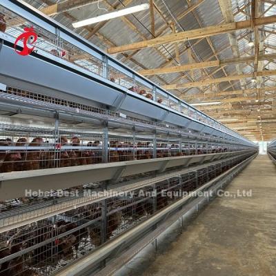 中国 Q235 Steel Chicken Battery Cage For Poultry Farm Custom Size Iris 販売のため