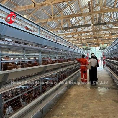 Chine 120 Birds Capacity Poultry Battery Cages Automatic A Or H Layer Farm Doris à vendre
