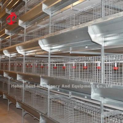China 450cm2 H Type Automatic Chicken Battery Cage System With Feeder Adela for sale