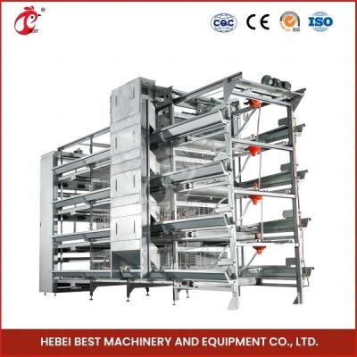 China Automatic 4 Tiers H Type Broiler Chicken Cage For Chicken Farm Ada for sale