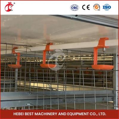 China Automatic breeding Automatic Broiler Chicken Cage Rose for sale
