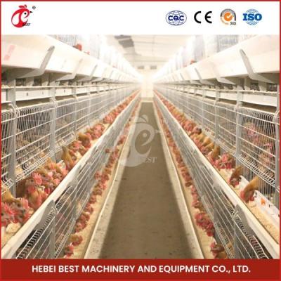 China Hot Galvanized Broiler Transport Cage Silver Color Durable Reliable Mia for sale