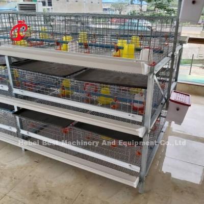 China A And H Type Broiler Battery Chicken Cage For 45 Days Broilers Emily for sale