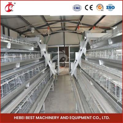 China 96 Birds H Type Automatic Chicken Chick Cage / A Type Broiler Chicken Cage With Sliding Door Rose for sale