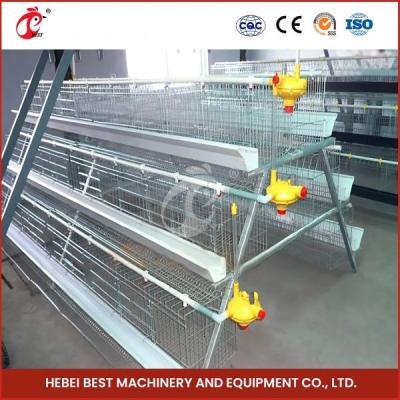 China H Type Farming Chick Brooder Cage Full Automatic Feeding System Rose for sale