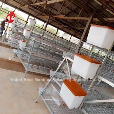 Chine 3 ou 4 niveaux de cage d'élevage de poussins H ceinture système de nettoyage manuel 2x2x1,6m Doris à vendre