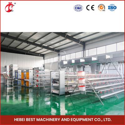 China Hot Deep Galvanized Brooder Cage For Chicks Sustainable Poultry Production Star for sale