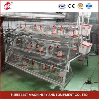 China 2 Doors Durable Chick Brooder Cage Automatic Feeding System Emily for sale