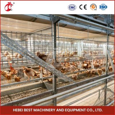 China Assembly Brooding Quail Brooder Cage With Automatic Manual Cleaning Emily for sale