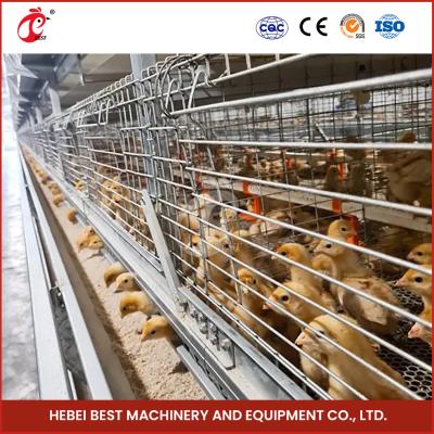 China Hot Dipped Galvanized Chick Brooder Cage Automatic Ventilation Iris for sale