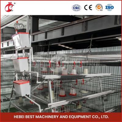 China 1.6m Wide 4 Tier Layer Cage For Poultry Farmers Rose en venta