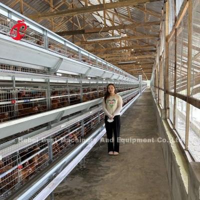 China Automatic Feeder Chicken Layer Cages Automatic Manure Belt System Sandy for sale