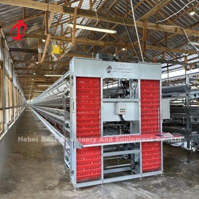 China Egg Chicken Farming Poultry Layer Cage Electrostatic Spraying Ada for sale