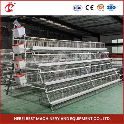 China 120 Chicken Wire Mesh Cage With Nipple Drinker And Cage Capacity Of 120 Star à venda