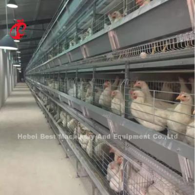 中国 New Generation Poultry Battery Cage System With H Type Automatic Design Sandy 販売のため