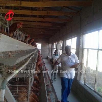 China Semi Automatic H Type Battery Cage System For Layers Sandy à venda