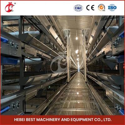 China 12 Cells Layer Battery Cage System For Commercial Chicken Farm Rose à venda