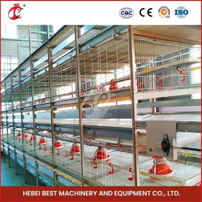 Chine Maximize Rearing Efficiency With Chicken Husbandry Cage System Cage Type A Rose à vendre