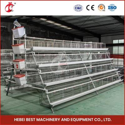中国 Q235 Grade Steel Wire Layer Farming Cage System With Nipples And Nipples With Cups Star 販売のため