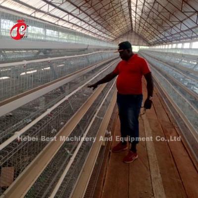 Chine High Rearing Efficiency For Chicken Farm Poultry Farming Cage System Sandy à vendre
