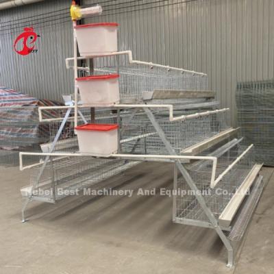 China 90/96/120/128/160/200 Capacity Poultry Layer Cage With Nipple Drinker And Feeder Sandy for sale