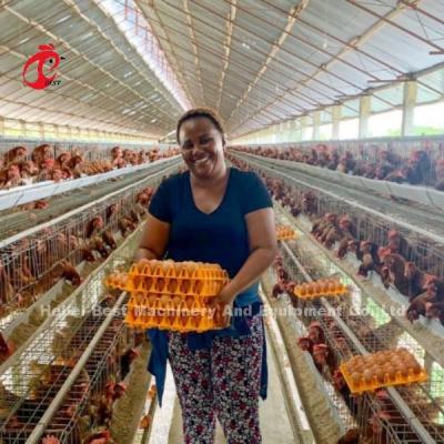 China 8 Tiers Steel Chicken Cage For Laying Eggs Iris à venda