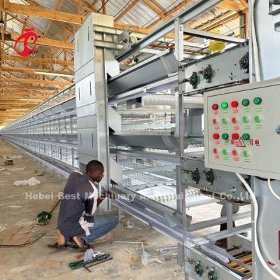 China Automated Poultry Layer Cage With Feeder And Adjustable Nipple Drinker System à venda